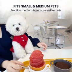 Cozy Knit Dog Sweater with Bow — Small Pet Hoodie