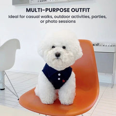 Cozy Knit Dog Sweater with Bow — Small Pet Hoodie
