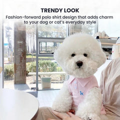 Cozy Knit Dog Sweater with Bow — Small Pet Hoodie