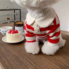 Cozy Knit Dog Sweater with Bow — Small Pet Hoodie