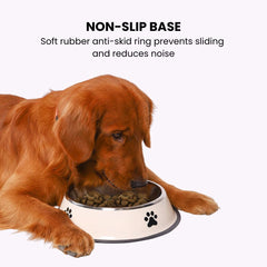 Stainless Paw Pet Bowl — Non-Slip Dog & Cat Bowl