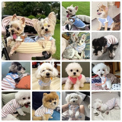 Striped Dog Vest Summer Shirt Cat Clothes Breathable Pet