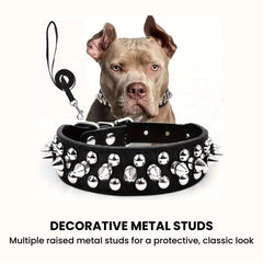 Studded Leather Dog Collar with Leash — Heavy Duty & Protective