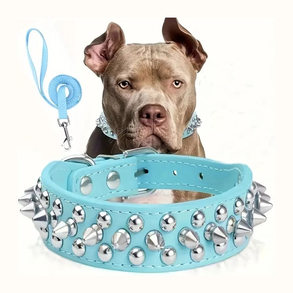 Studded Leather Dog Collar with Leash — Heavy Duty & Protective