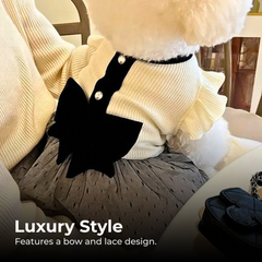 Luxury Summer Dog Dress for Small Dogs & Puppies