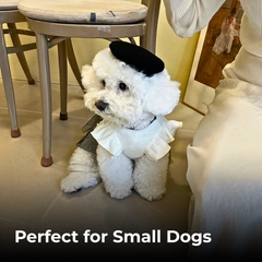 Luxury Summer Dog Dress for Small Dogs & Puppies