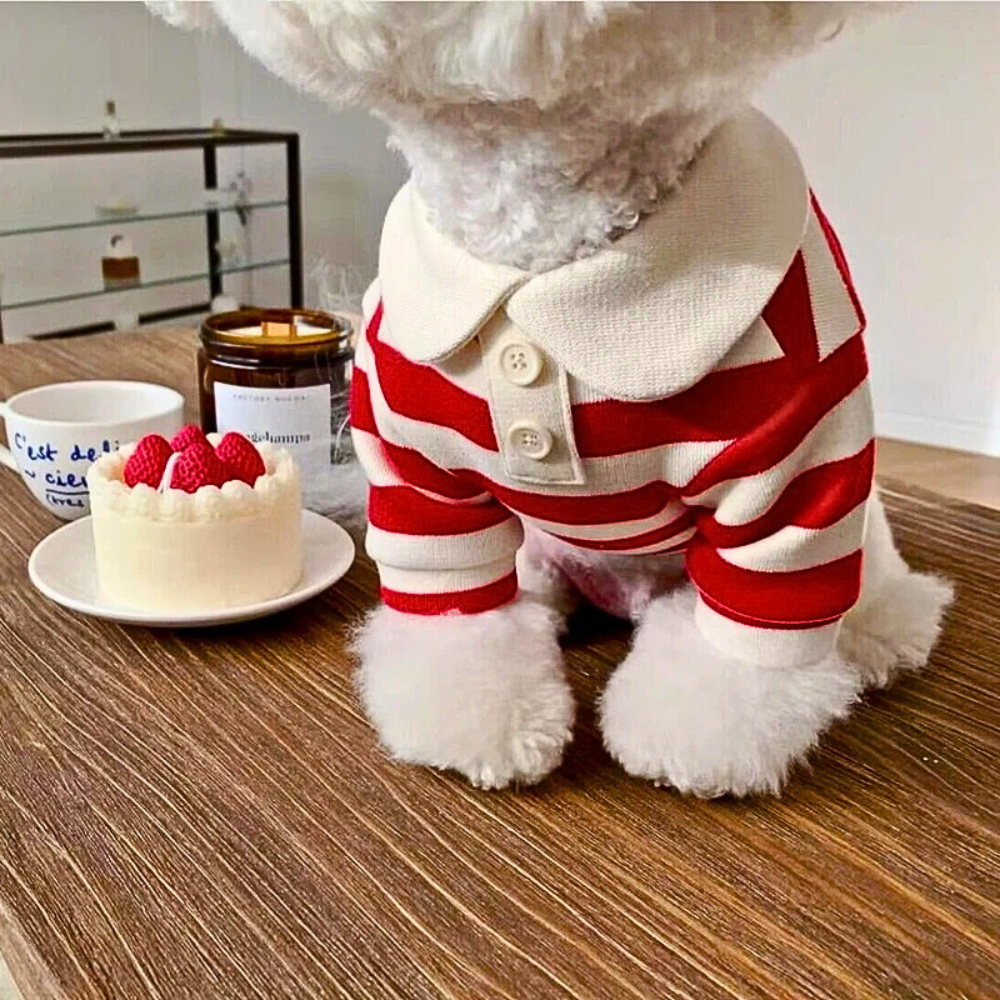 Striped Summer Polo Vest for Small/Medium Dogs
