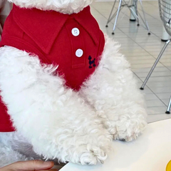 Striped Summer Polo Vest for Small/Medium Dogs