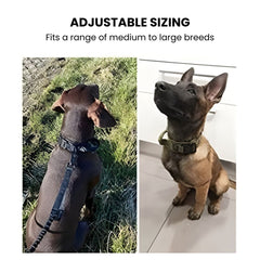 Tactical Military Dog Collar - Heavy Duty Nylon