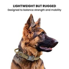 Tactical Military Dog Collar - Heavy Duty Nylon