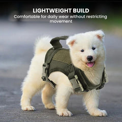 Tactical Puppy Harness & Leash Set – Small Dogs & Cats