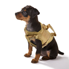Tactical Puppy Harness & Leash Set – Small Dogs & Cats