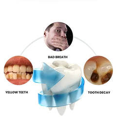 U-Type 360° Sonic Electric Toothbrush | USB Rechargeable