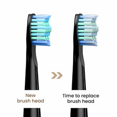 USB Electric Toothbrush Fairywill FW-507 Waterproof Kit