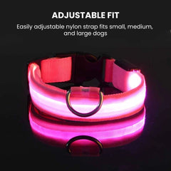 USB Rechargeable LED Dog Collar — Glow Night Safety