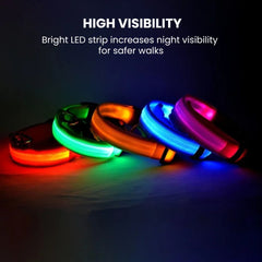 USB Rechargeable LED Dog Collar — Glow Night Safety