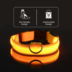 USB Rechargeable LED Dog Collar — Glow Night Safety