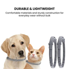 USB Rechargeable LED Dog Collar — Glow Safety Light