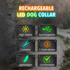 USB Rechargeable LED Dog Collar — Glow Safety Light