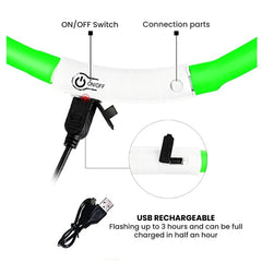 USB Rechargeable LED Dog Collar — Glow Safety Light