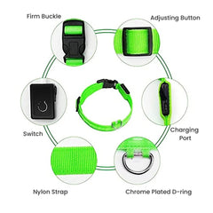 USB Rechargeable LED Dog Collar — Glow Safety Light