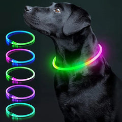 USB Rechargeable LED Dog Collar — Glow Safety Light