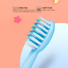 USB Sonic Electric Toothbrush with Whitening Heads