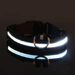 USB Rechargeable LED Dog Collar — Glow Night Safety