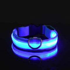 USB Rechargeable LED Dog Collar — Glow Night Safety