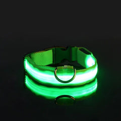 USB Rechargeable LED Dog Collar — Glow Night Safety