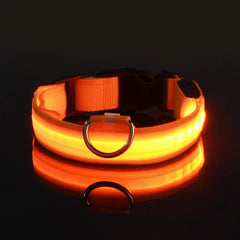 USB Rechargeable LED Dog Collar — Glow Night Safety