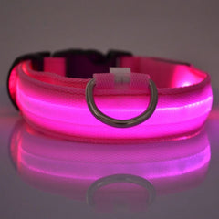 USB Rechargeable LED Dog Collar — Glow Night Safety
