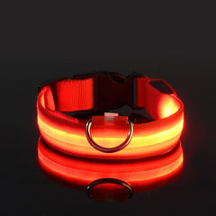 USB Rechargeable LED Dog Collar — Glow Night Safety