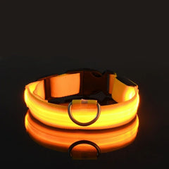 USB Rechargeable LED Dog Collar — Glow Night Safety