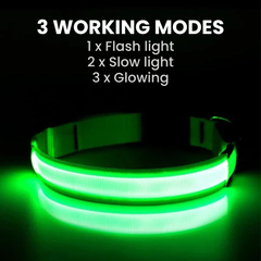 USB Rechargeable LED Dog Collar — Glow Safety Light