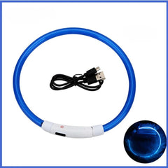 USB Rechargeable LED Dog Collar — Glow Safety Light