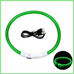 USB Rechargeable LED Dog Collar — Glow Safety Light