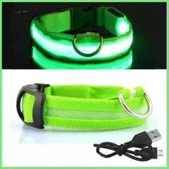 USB Rechargeable LED Dog Collar — Glow Safety Light