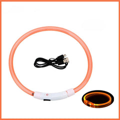USB Rechargeable LED Dog Collar — Glow Safety Light