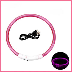 USB Rechargeable LED Dog Collar — Glow Safety Light