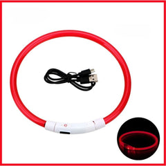 USB Rechargeable LED Dog Collar — Glow Safety Light