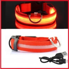 USB Rechargeable LED Dog Collar — Glow Safety Light