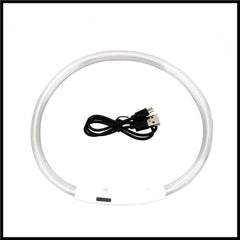 USB Rechargeable LED Dog Collar — Glow Safety Light