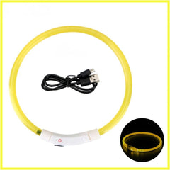 USB Rechargeable LED Dog Collar — Glow Safety Light