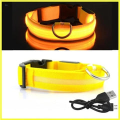 USB Rechargeable LED Dog Collar — Glow Safety Light