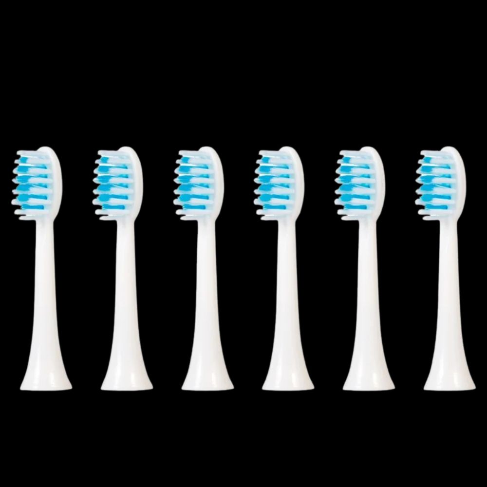 USB Sonic Electric Toothbrush with Whitening Heads