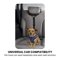 Adjustable Elastic Dog Seat Belt Leash