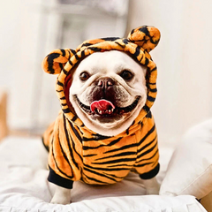 Warm Dino Hoodie for Small Medium Dogs & Cats