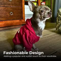 Fashion Warm Dog Hoodie for All Dog Sizes
