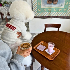 Warm Winter Dog Hoodie Pullover for French Bulldogs